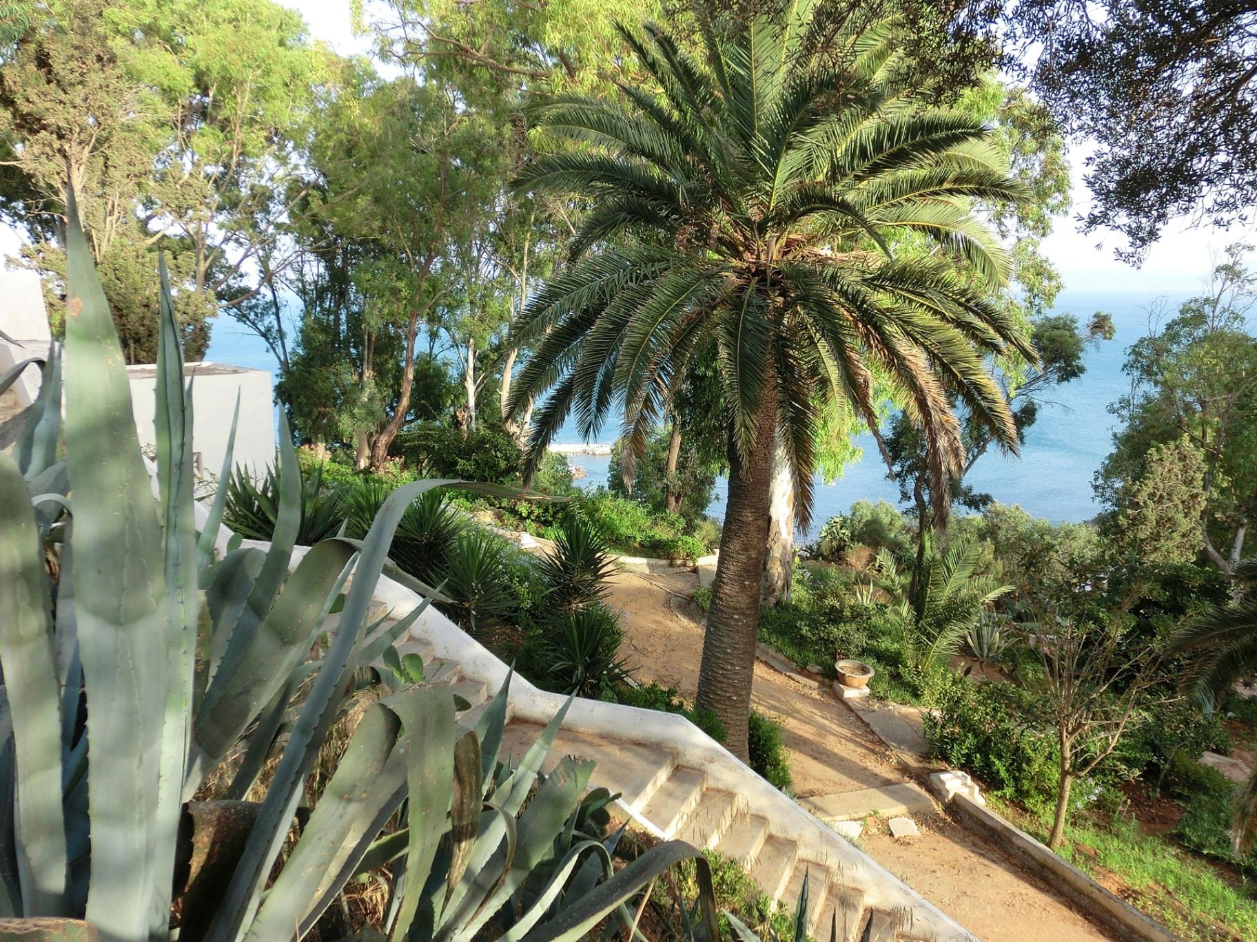 Mediterranean Garden