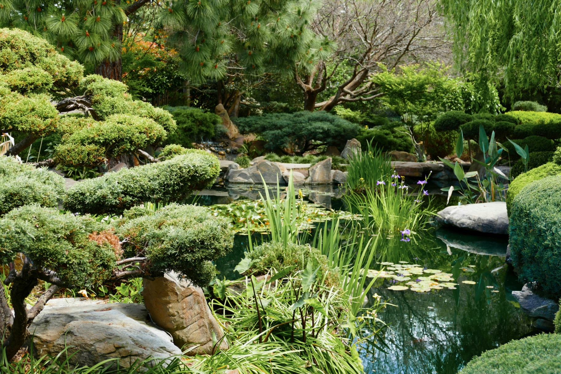 Japanese Zen Garden